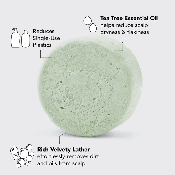 Tea Tree + Mint Clarifying Shampoo Bar - Intimate Whispers